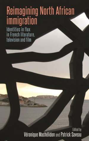 Maghrebi Immigration in French Literature and Film de Patrick Saveau