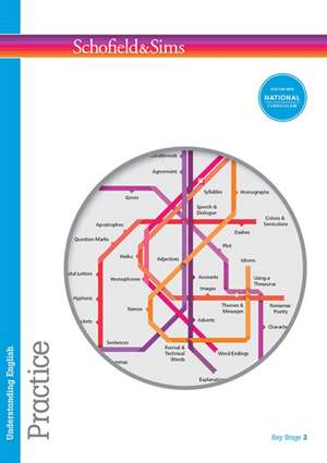 Understanding English: Practice de Carol Matchett