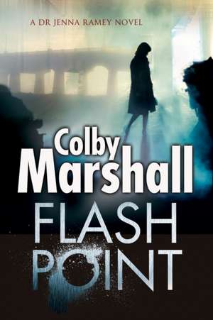 Flash Point de Colby Marshall