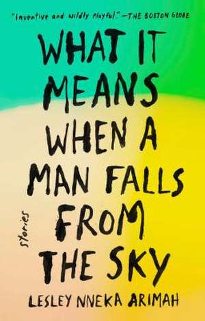 What It Means When a Man Falls from the Sky de Lesley Nneka Arimah