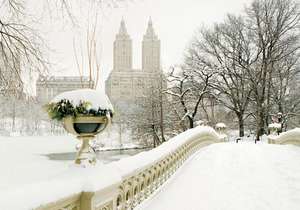 View from Bow Bridge Notecards