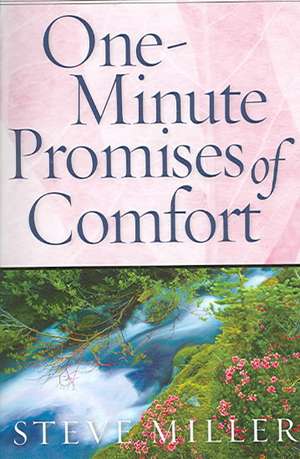 One-Minute Promises of Comfort de Steve Miller