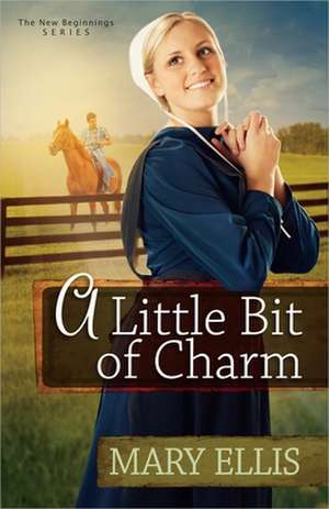 A Little Bit of Charm de Mary Ellis