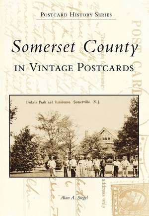 Somerset County in Vintage Postcards de Alan A. Siegel