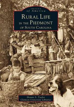 Rural Life in the Piedmont of South Carolina de Dennis S. Taylor