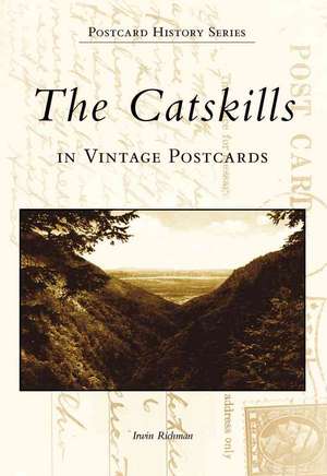 The Catskills in Vintage Postcards de Irwin Richman