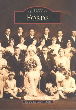 Fords de Joanne Deamicis Bulla