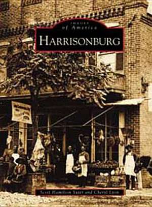 Harrisonburg de Scott H. Suter