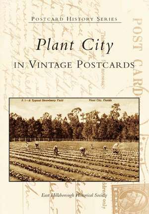 Plant City, Florida in Vintage Postcards de East Hillsborough Historical Society