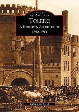 Toledo: A History in Architecture, 1890-1914 de William D. Speck