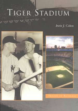 Tiger Stadium de Irwin J. Cohen