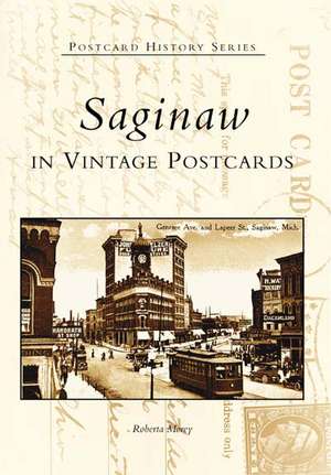 Saginaw in Vintage Postcards de Robert A. Morey