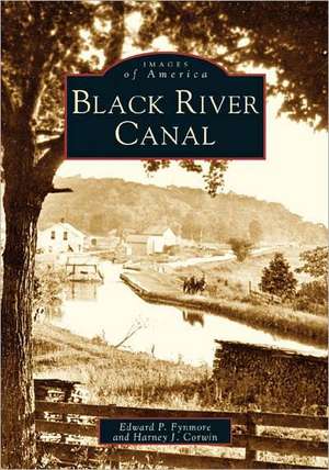 Black River Canal de Edward P. Fynmore