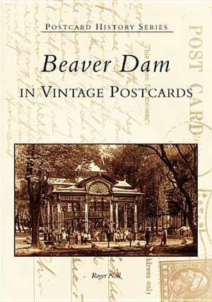 Beaver Dam in Vintage Postcards de Roger Noll