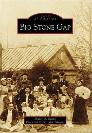 Big Stone Gap de Sharon B. Ewing