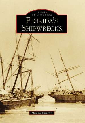 Florida's Shipwrecks de Michael Barnette