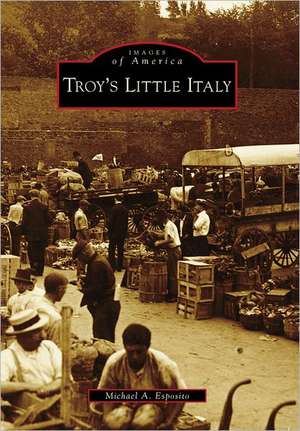 Troy's Little Italy de Michael A. Esposito