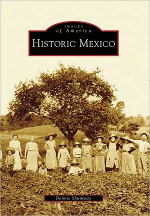 Historic Mexico de Bonnie Shumway