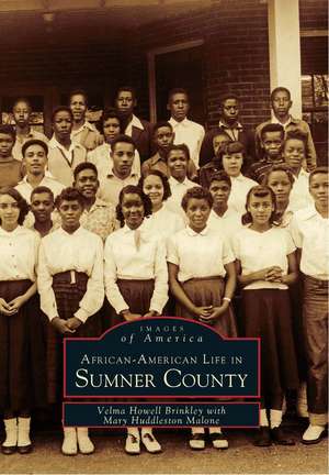 African-American Life in Sumner County de Velma Howell Brinkley