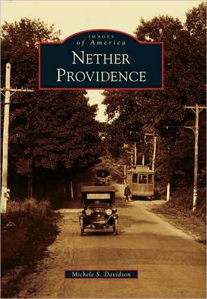 Nether Providence de Michele S. Davidson