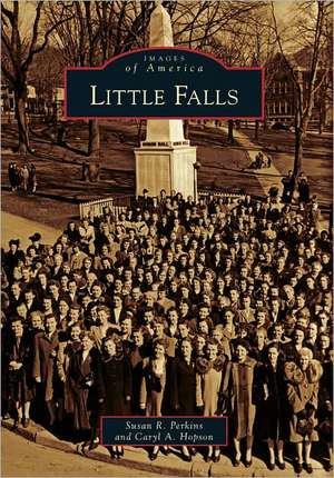 Little Falls de Susan R. Perkins