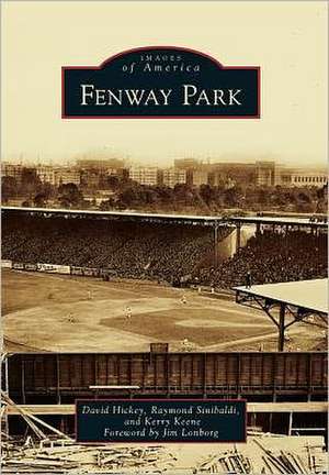 Fenway Park de David Hickey