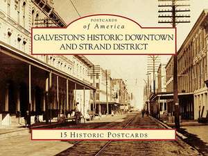 Galveston's Historic Downtown and Strand District de Denise Alexander