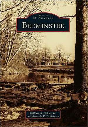 Bedminster de William A. Schleicher