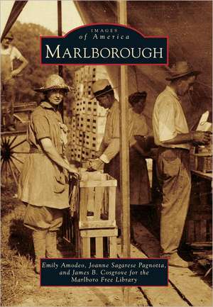 Marlborough de Emily Amodeo