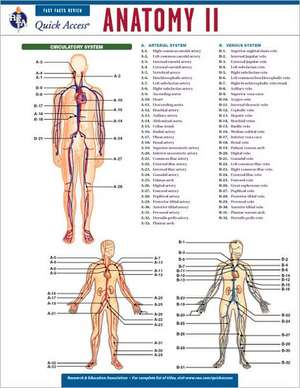 Anatomy II de Research & Education Association