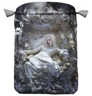 La Nuit Bag de Bach, Alexandra V.