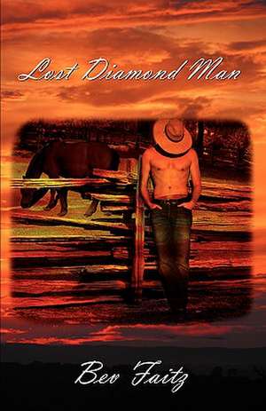 Lost Diamond Man de Bev Faitz