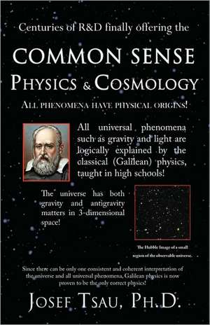 Common Sense Physics & Cosmology de Josef Tsau