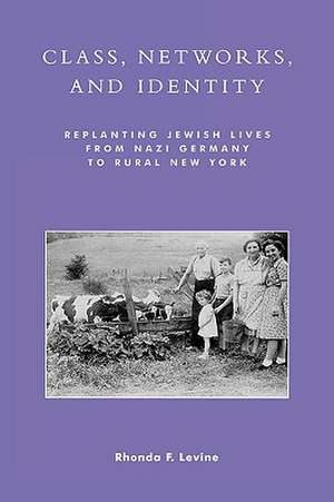 Class, Networks, and Identity de Rhonda F. Levine