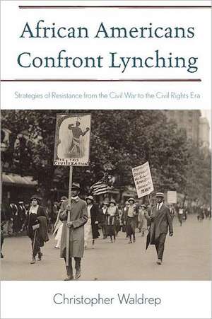 African Americans Confront Lynching de Christopher Waldrep