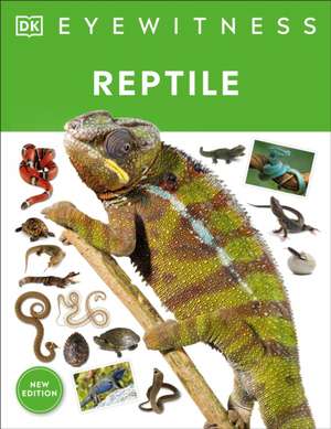 Eyewitness Reptile de Colin McCarthy