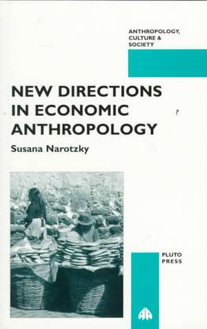 New Directions in Economic Anthropology de Susana Narotzky