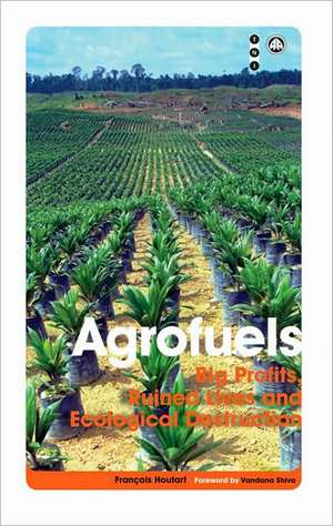 Agrofuels: Big Profits, Ruined Lives and Ecological Destruction de Francois Houtart