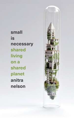 Small Is Necessary: Shared Living on a Shared Planet de Anitra Nelson