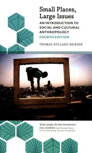 Small Places, Large Issues: An Introduction to Social and Cultural Anthropology de Thomas Hylland Eriksen