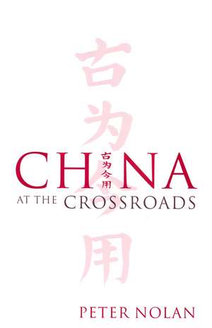 China at the Crossroads de Nolan