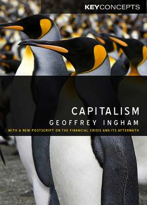 Capitalism de G Ingham