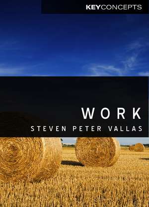 Work – A Critique de S Vallas