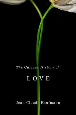 The Curious History of Love de JC Kaufmann