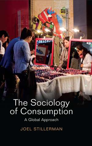 The Sociology of Consumption – A Global Approach de J Stillerman