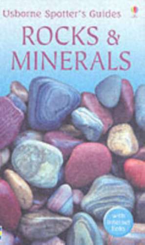 Rocks and Minerals de Alan Woolley