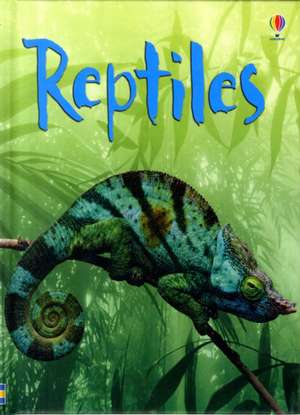 Reptiles de Catriona Clarke