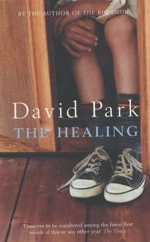 Healing de David Park