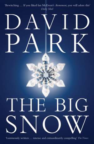 The Big Snow: rejacket de David Park