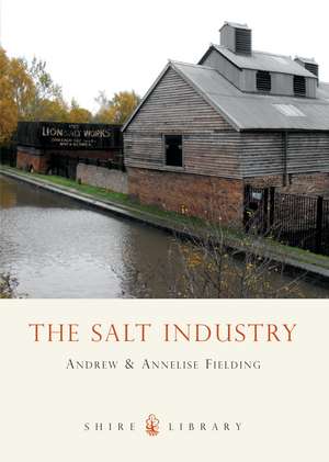 The Salt Industry de Andrew Philip Fielding